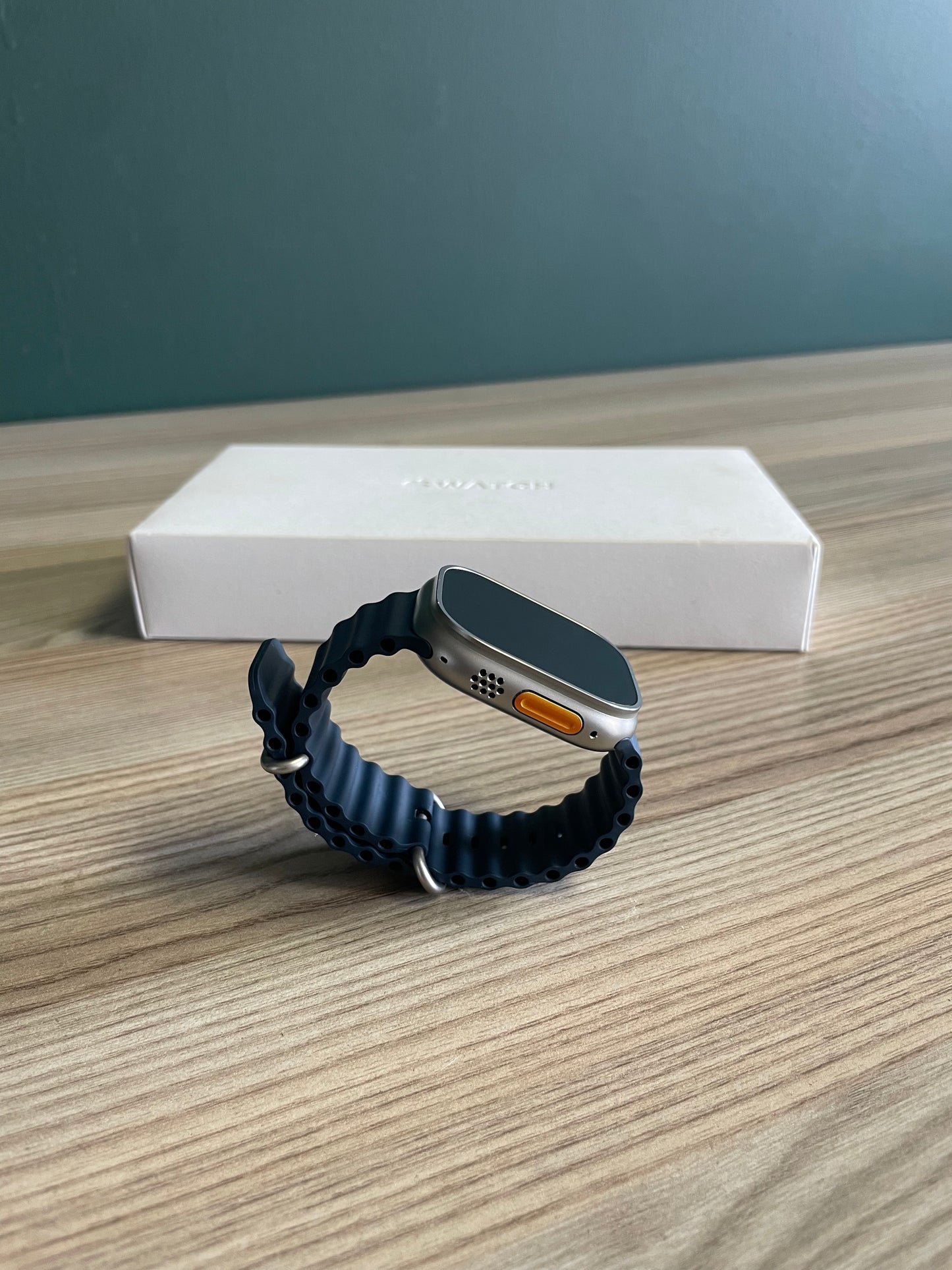 Apple Watch Ultra 2 Titanium Case With Blue Ocean Band (Pre-owned)