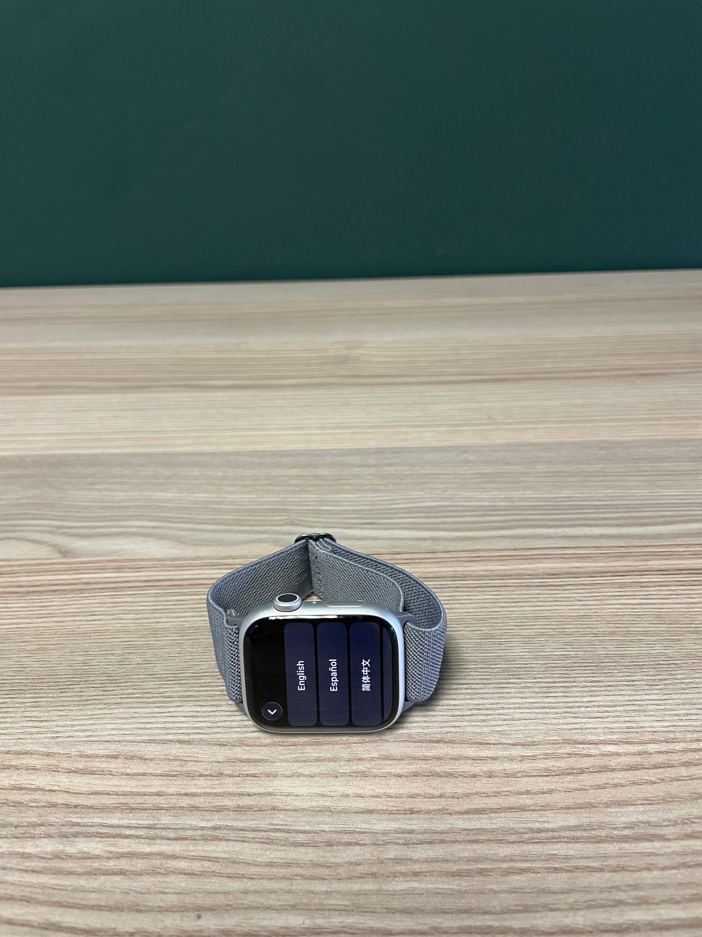 Apple Watch Series 9 GPS - 45mm Silver (Pre-owned)